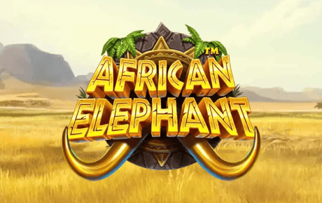 African Elephant